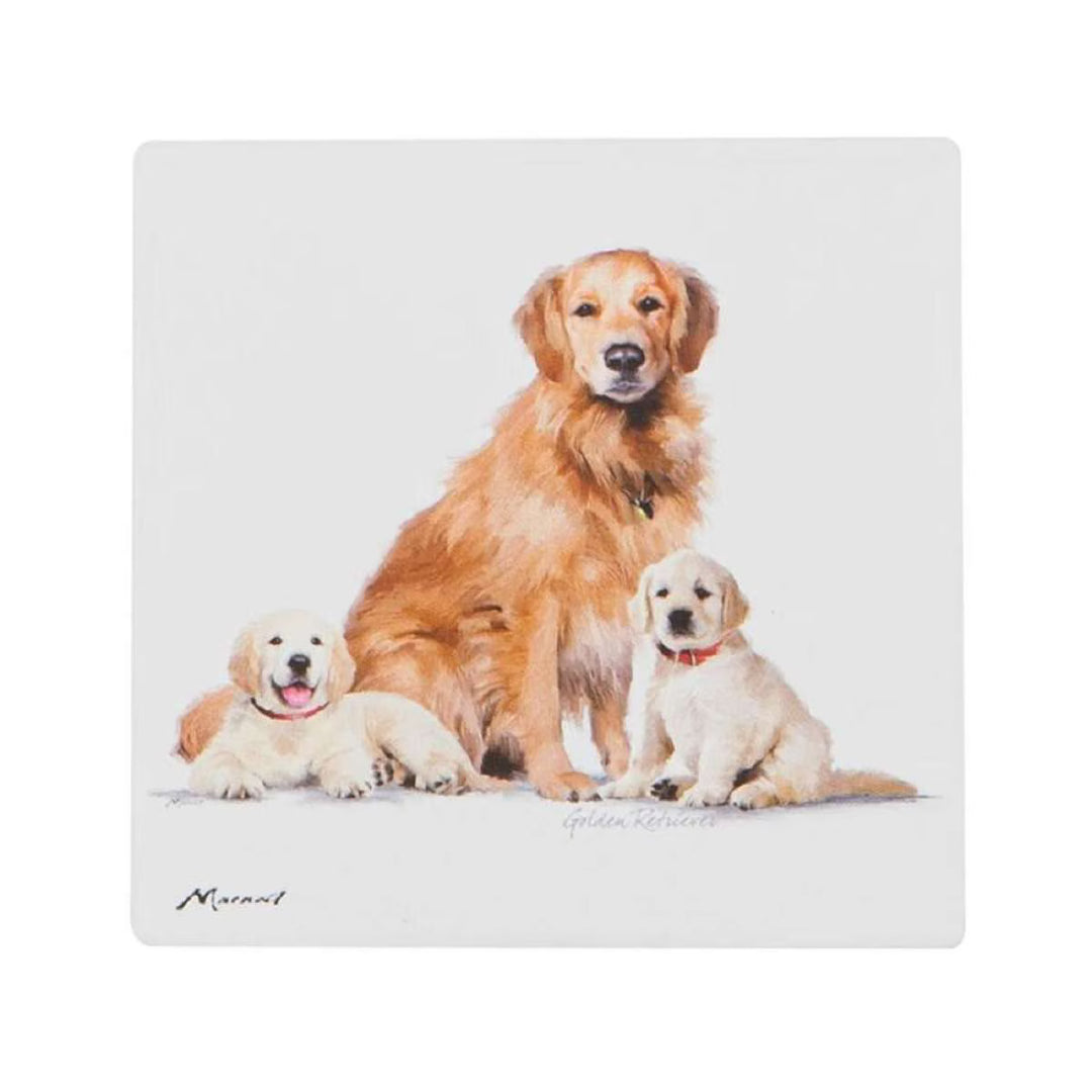 Ashdene Puppy Love Golden Retriever Coaster