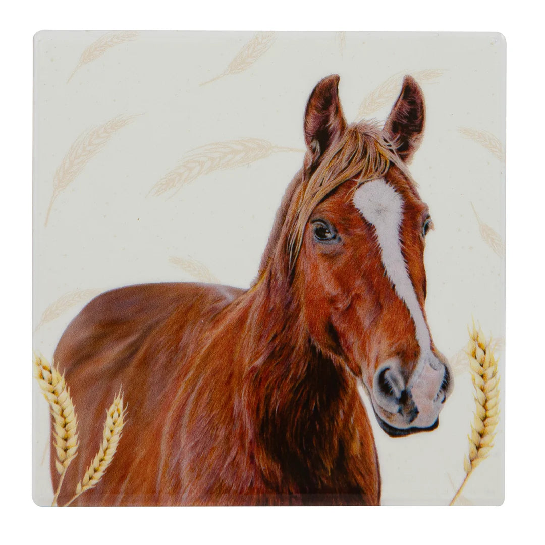 Ashdene Farm Yard Faces 2 - Horse Coaster