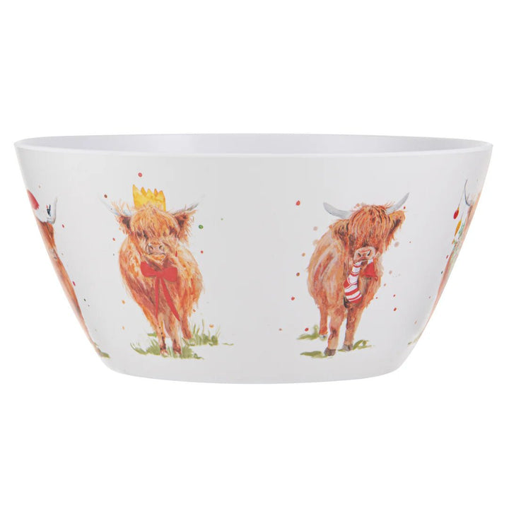 Ashdene Coo Christmas Melamine Salad / Chip Bowl - The Glamorous Grub