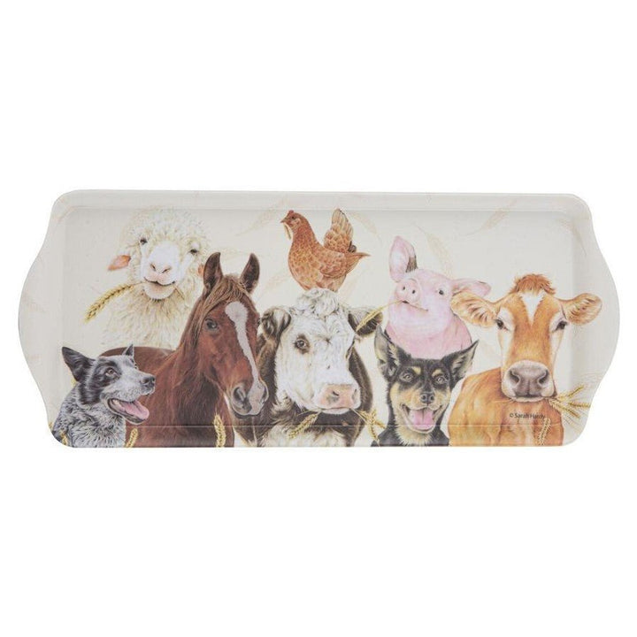 Ashdene Farm Yard Faces 2 Sandwich Tray - The Glamorous Grub