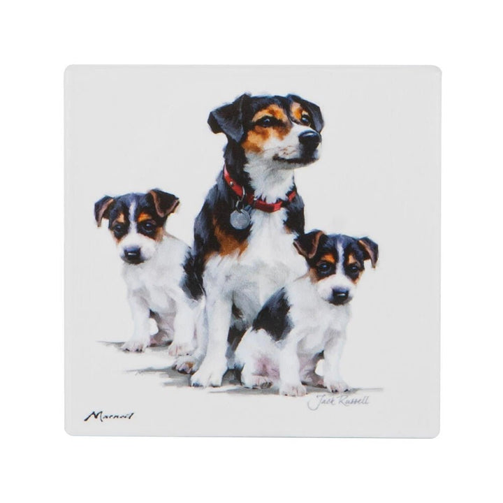 Ashdene Puppy Love Jack Russel Coaster - The Glamorous Grub