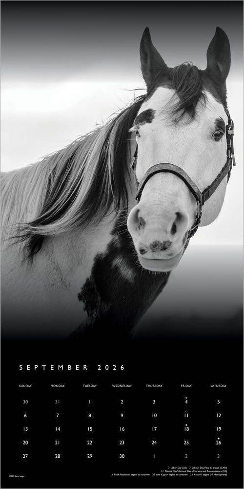 The Noble Horse Portrait Series 2026 Square Monthly Calendar