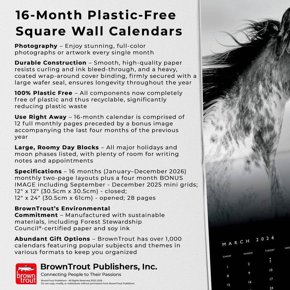 The Noble Horse Portrait Series 2026 Square Monthly Calendar