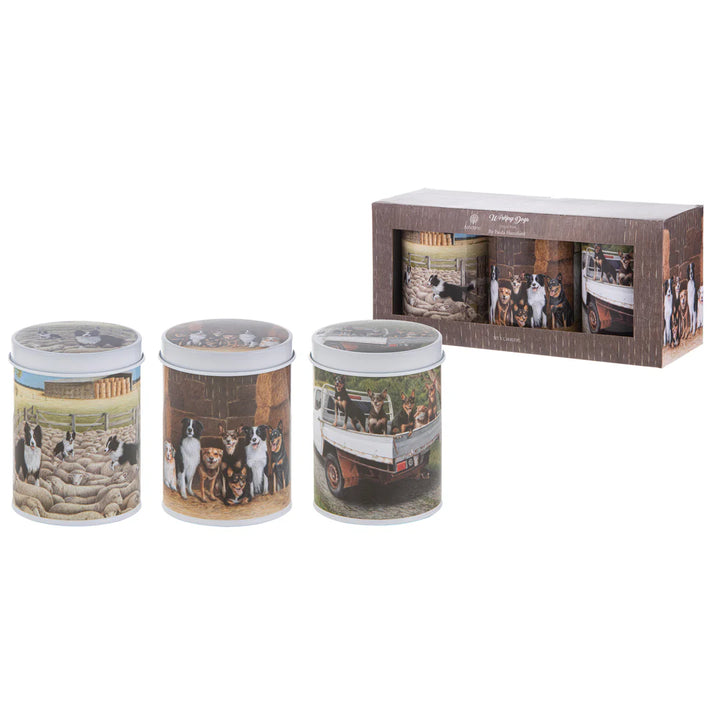 Ashdene Working Dogs 3pc Canister Set