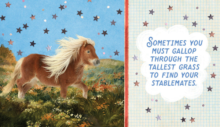 Very small horses living their greatest lives