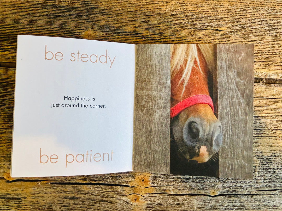 A Big Box of Kindness