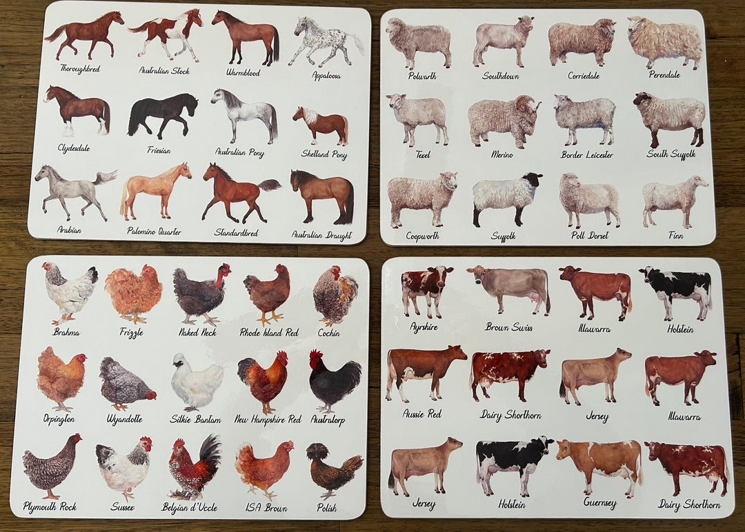 Ashdene Best in Breed 6 Pack Placemats