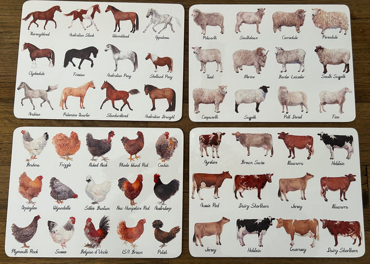 Ashdene Best in Breed 6 Pack Placemats