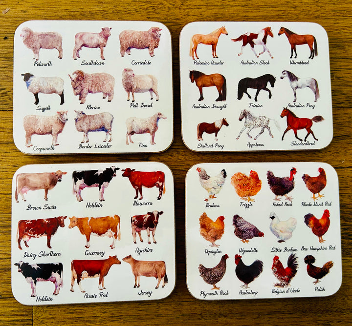 Ashdene Best in Breed 6 Pack Coasters