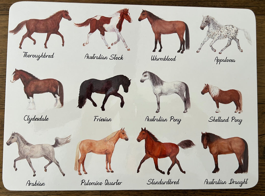 Ashdene Best in Breed 6 Pack Placemats