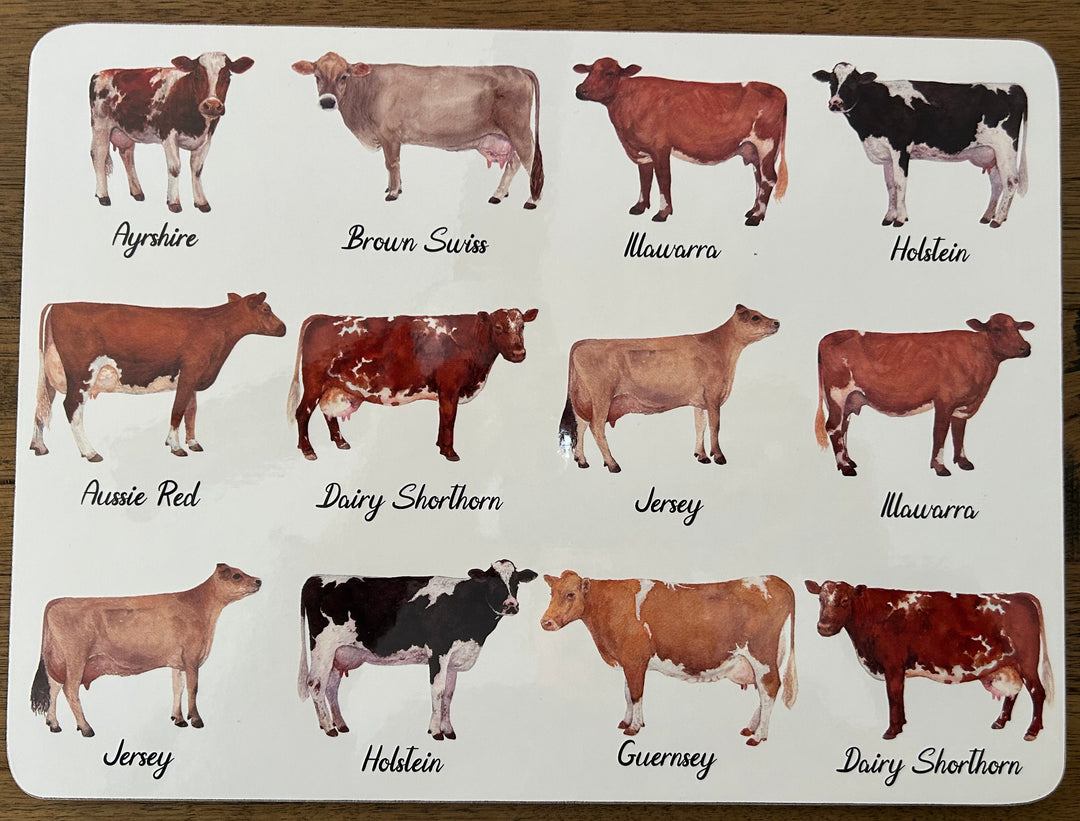 Ashdene Best in Breed Cows 2 Pack Tea Towels