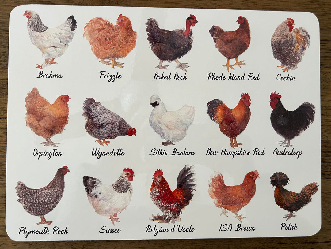 Ashdene Best in Breed 6 Pack Placemats