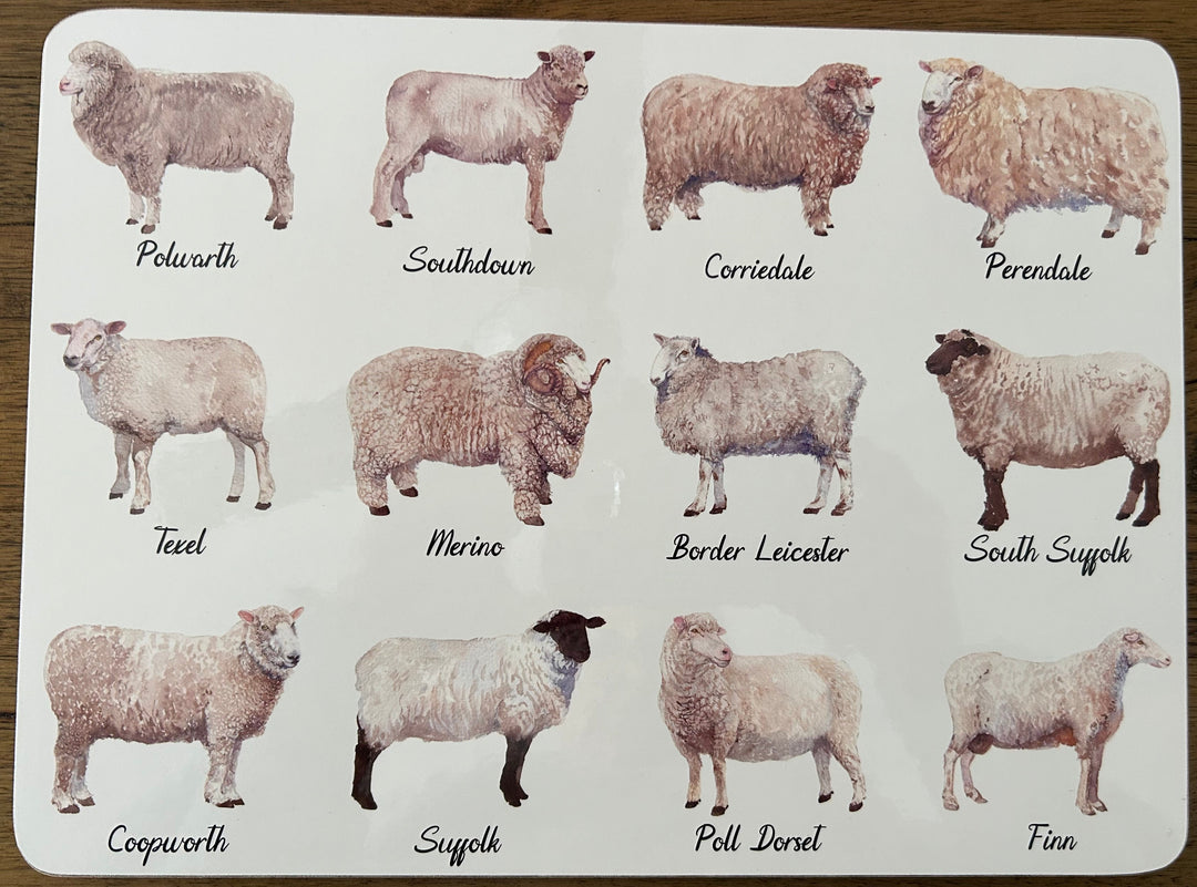 Ashdene Best in Breed 6 Pack Placemats