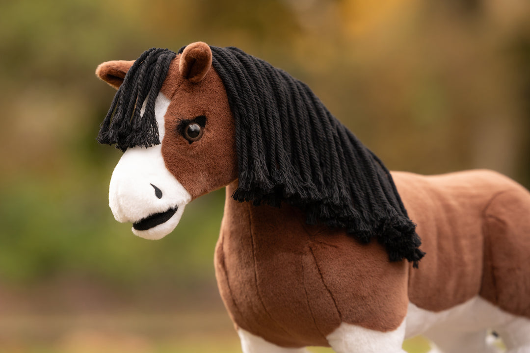 Toy Pony Titan
