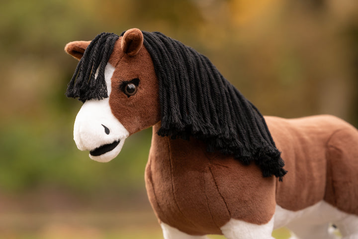 Toy Pony Titan