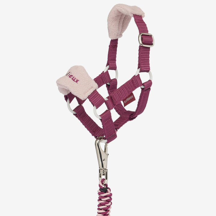LeMieux Toy Pony Vogue Headcollar and Leadrope Blackberry
