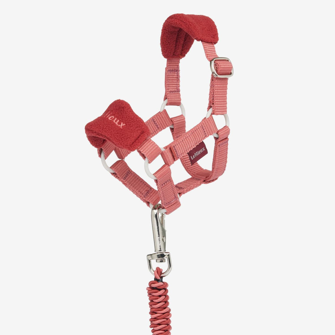 LeMieux Toy Pony Vogue Headcollar and Leadrope Spiced Earth