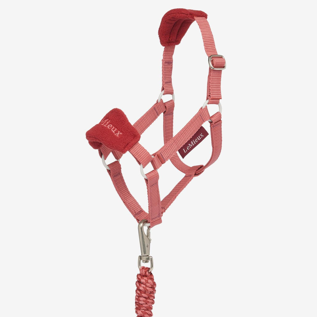 Hobby Horse Vogue Headcollar &amp; Leadrope Spiced Earth