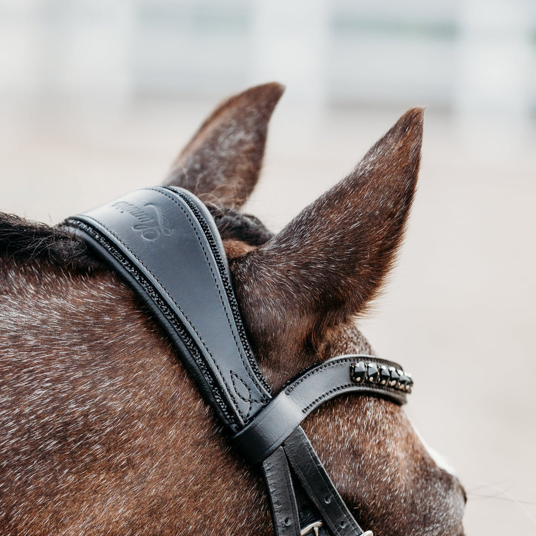 Arcadia' Luxury Leather Bridle (Cavesson) (Lumi Pony) - The Glamorous Grub