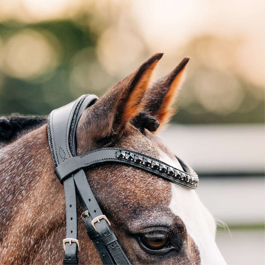 Arcadia' Luxury Leather Bridle (Cavesson) (Lumi Pony) - The Glamorous Grub