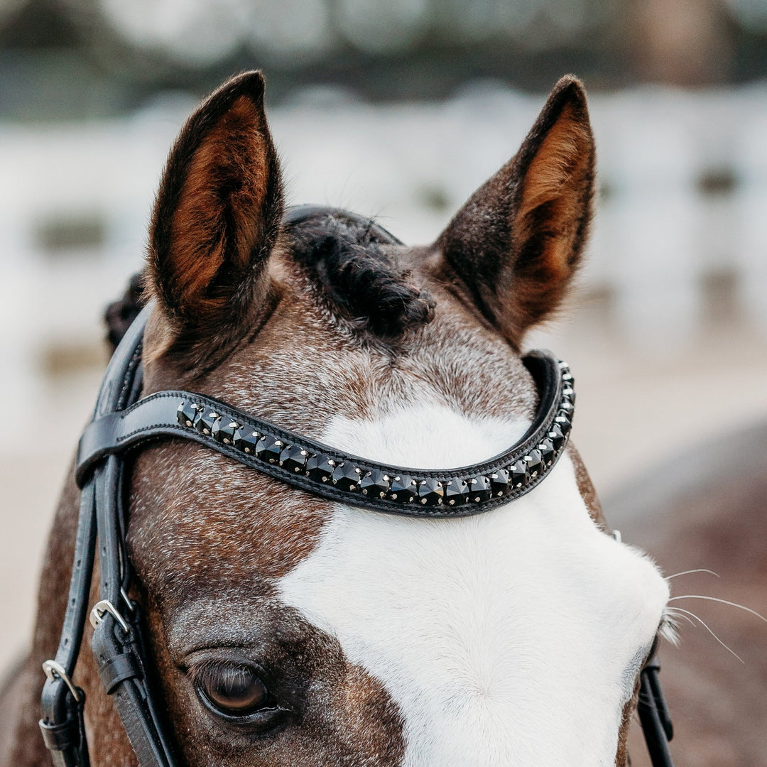 Arcadia' Luxury Leather Bridle (Cavesson) (Lumi Pony) - The Glamorous Grub