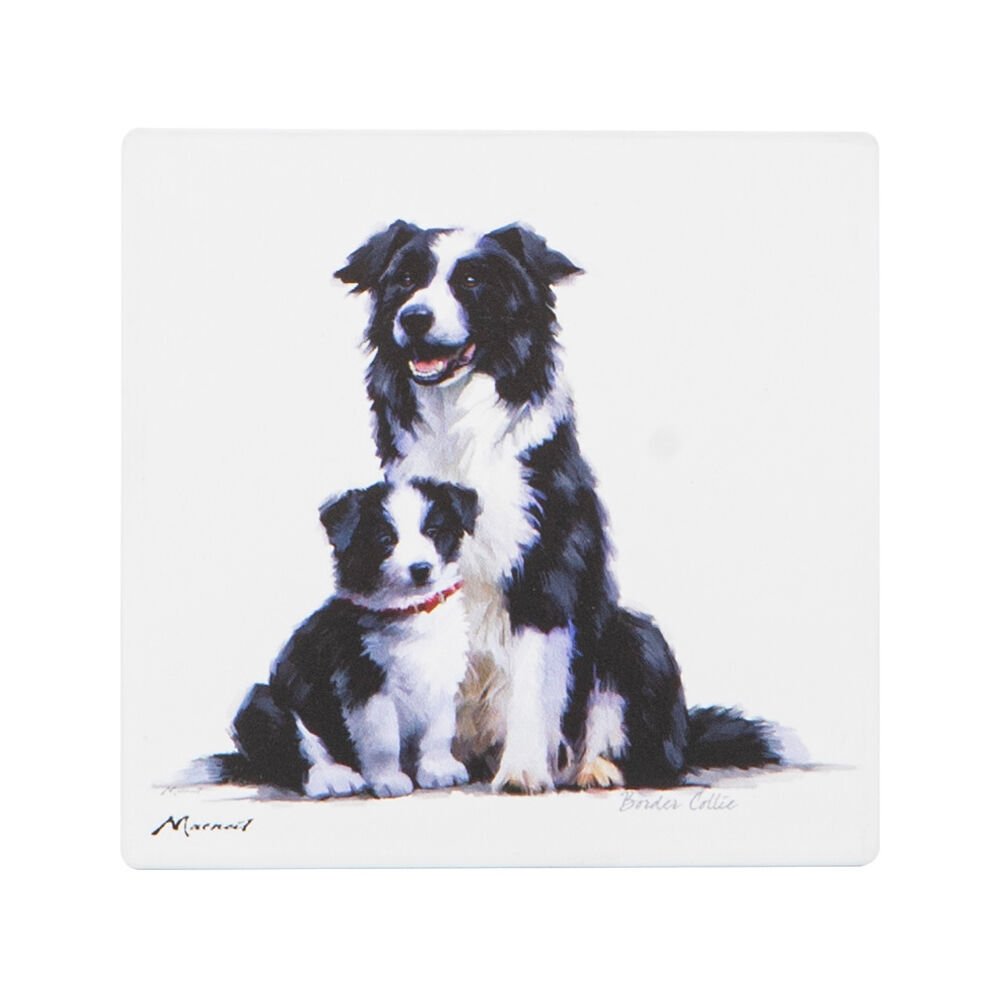 Ashdene Puppy Love Boarder Collie Coaster - The Glamorous Grub