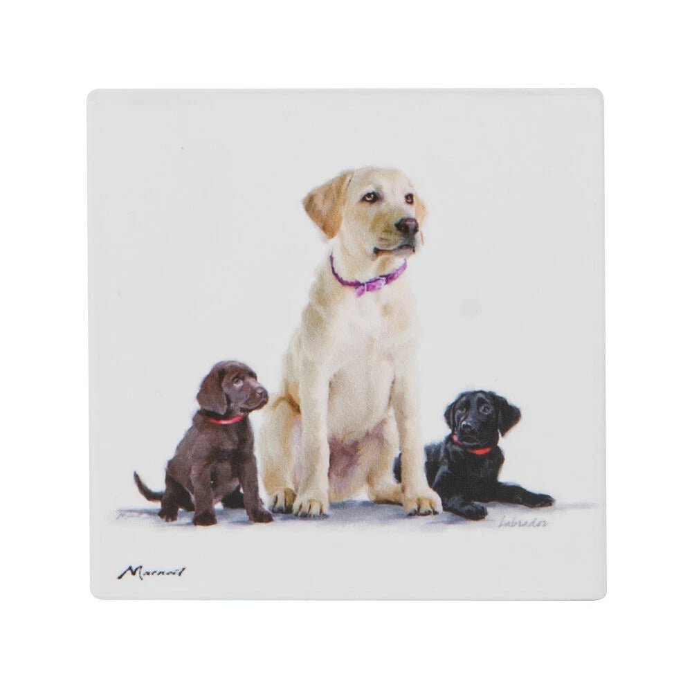 Ashdene Puppy Love Labrador Coaster - The Glamorous Grub