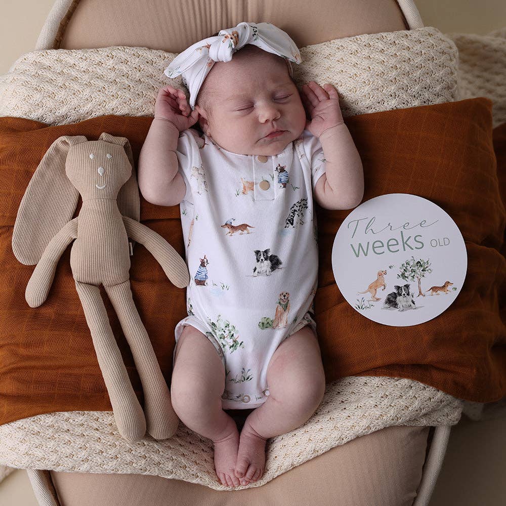 Dog Park & Seedling Reversible Milestone Cards - The Glamorous Grub