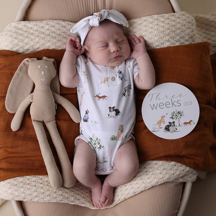 Dog Park & Seedling Reversible Milestone Cards - The Glamorous Grub
