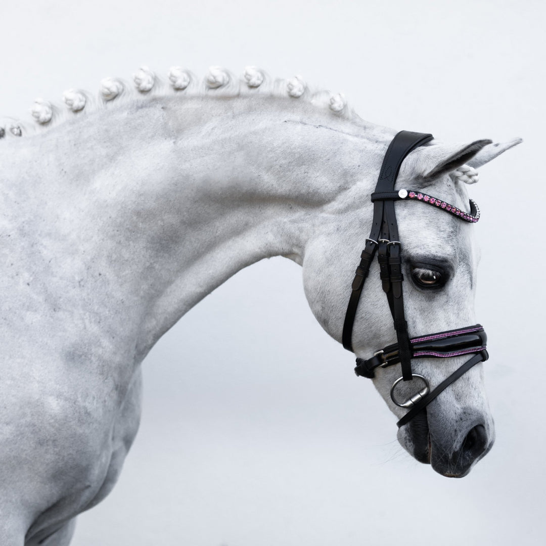 Fairyfloss bridle (Lumi Pony) - The Glamorous Grub
