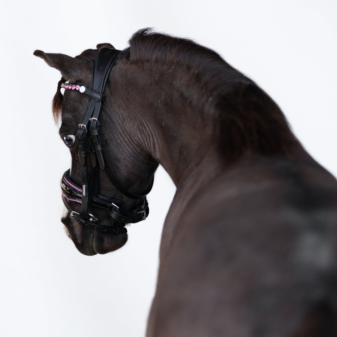 Fairyfloss bridle (Lumi Pony) - The Glamorous Grub
