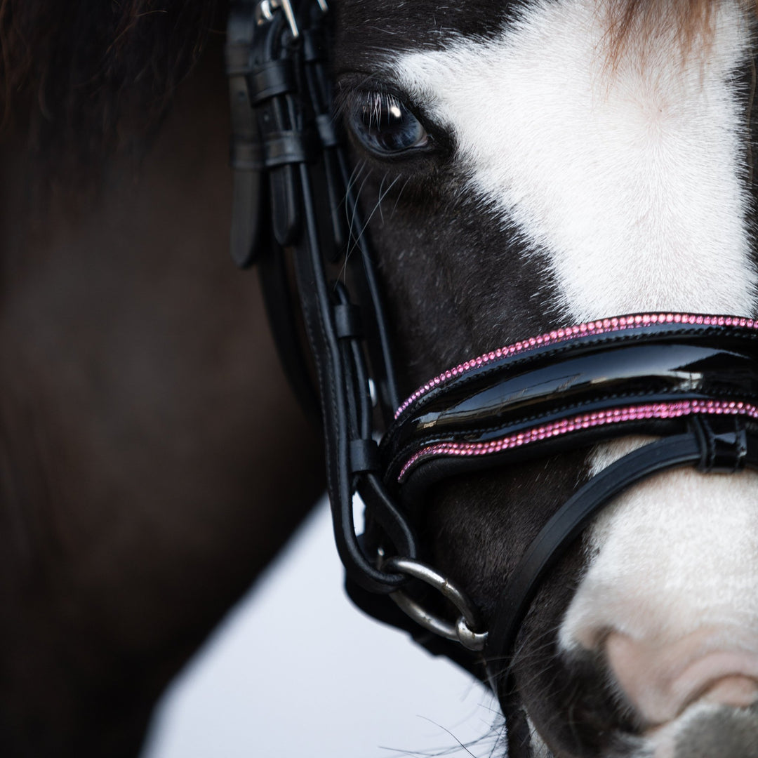 Fairyfloss bridle (Lumi Pony) - The Glamorous Grub