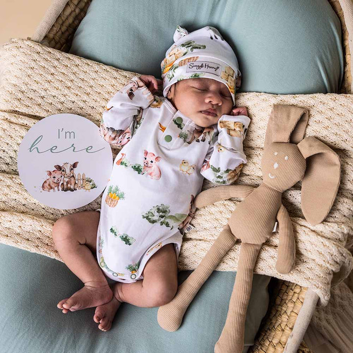 Farm & Mint Reversible Milestone Cards - The Glamorous Grub
