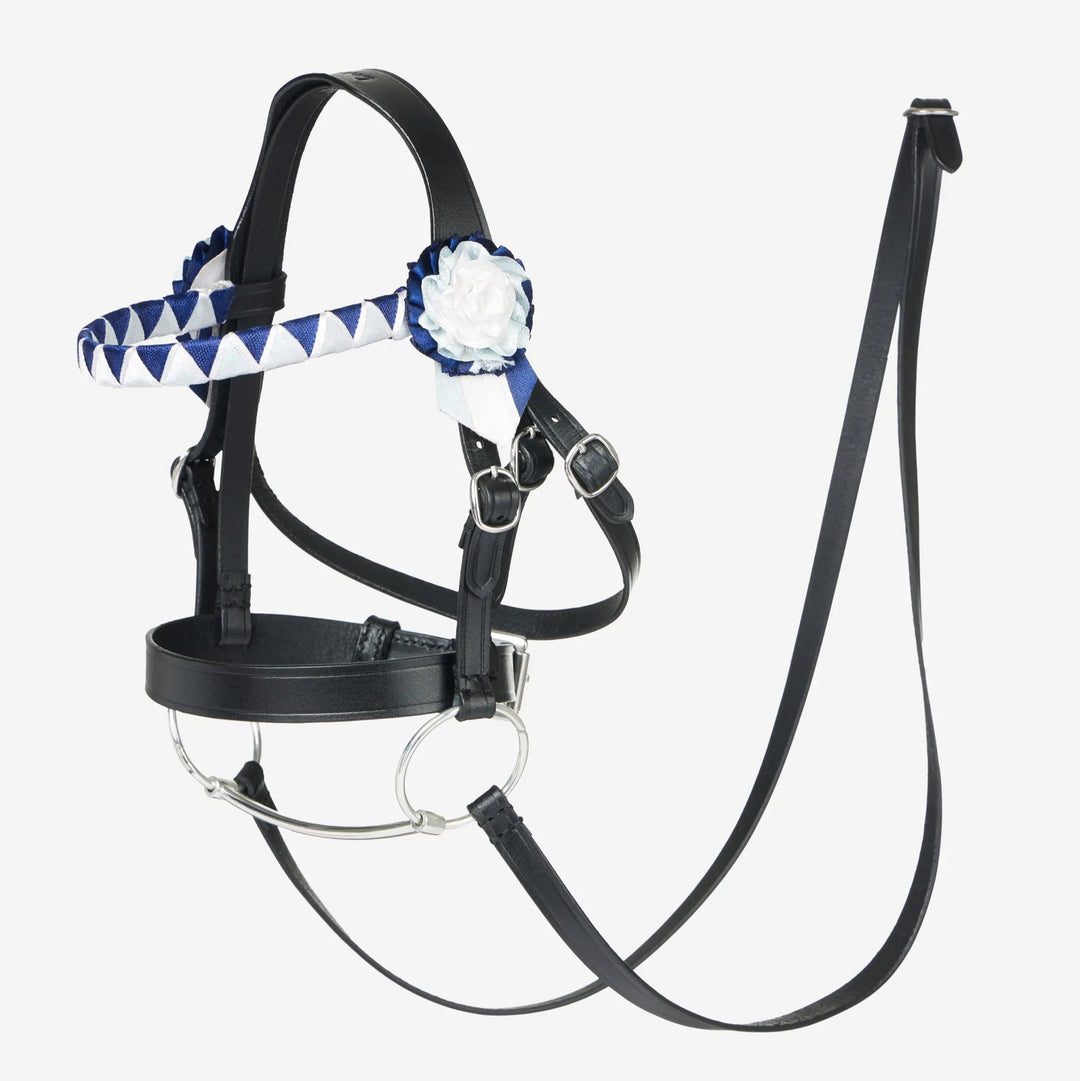 Hobby Horse Showing Bridle Black - The Glamorous Grub