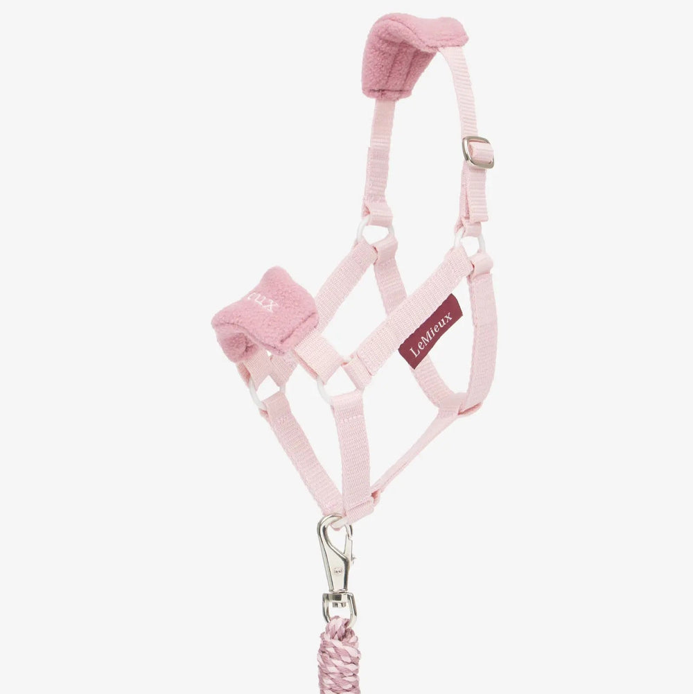 Hobby Horse Vogue Headcollar & Leadrope Blossom - The Glamorous Grub