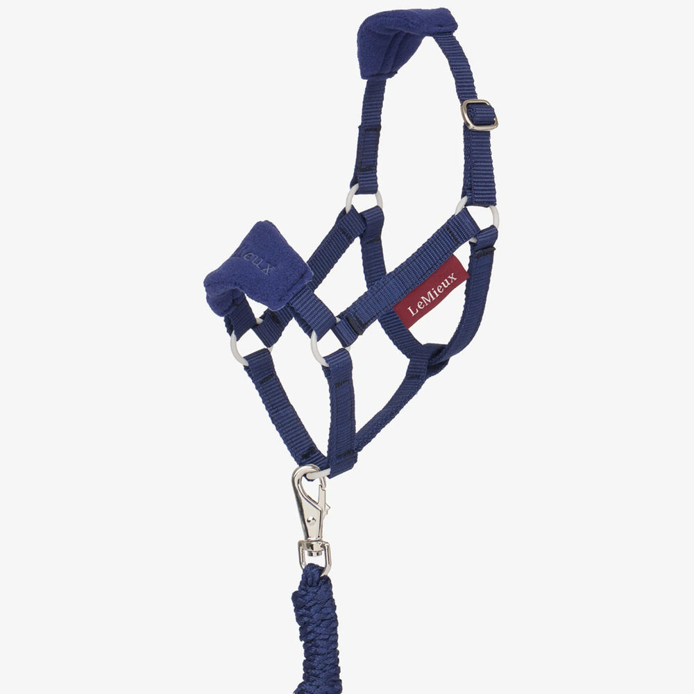 Hobby Horse Vogue Headcollar & Leadrope Ink Blue - The Glamorous Grub
