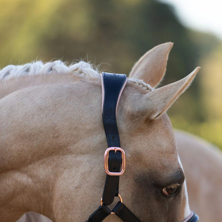 Hollywood Leather Halter - Lumi Pony - The Glamorous Grub