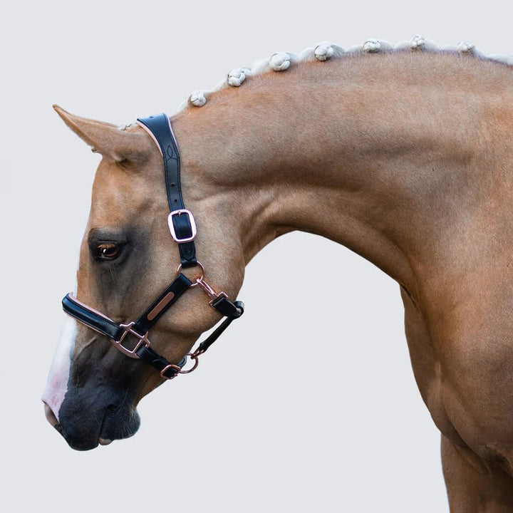 Hollywood Leather Halter - Lumi Pony - The Glamorous Grub