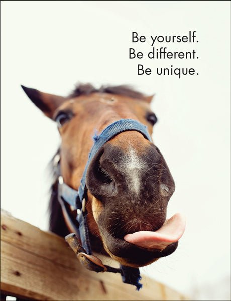 Horse Sense - Affirmation Cards - The Glamorous Grub