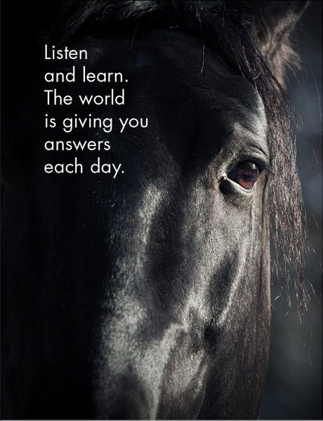 Horse Sense - Affirmation Cards - The Glamorous Grub