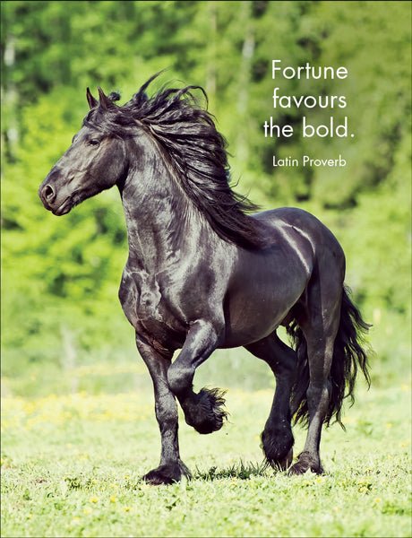 Horse Sense - Affirmation Cards - The Glamorous Grub