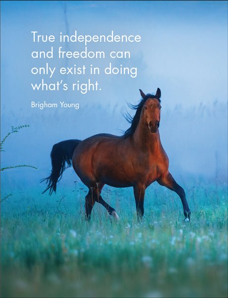 Horse Sense - Affirmation Cards - The Glamorous Grub