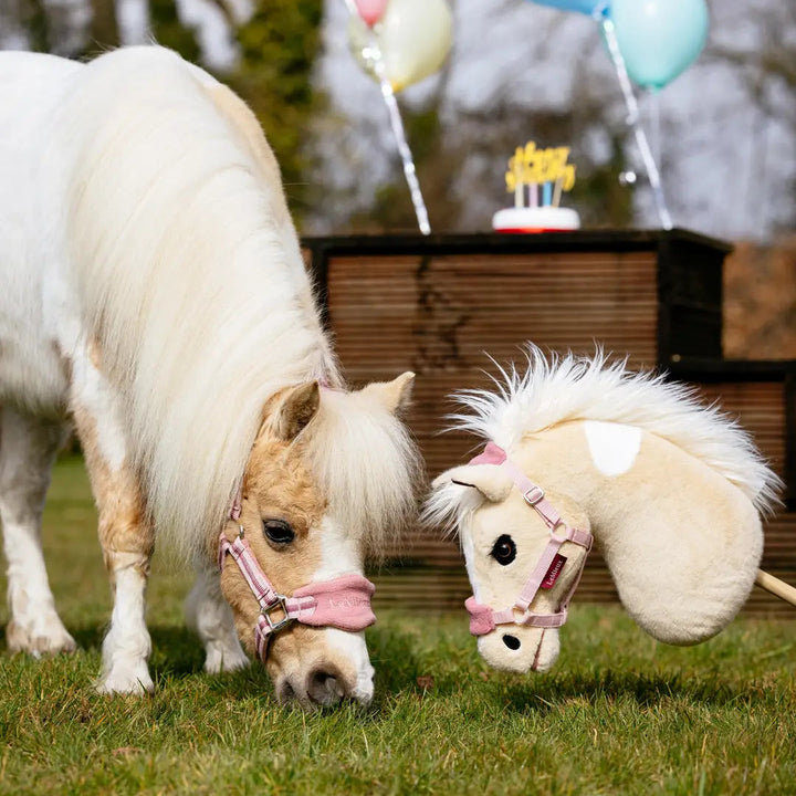 Lemieux Hobby Horse Lemon