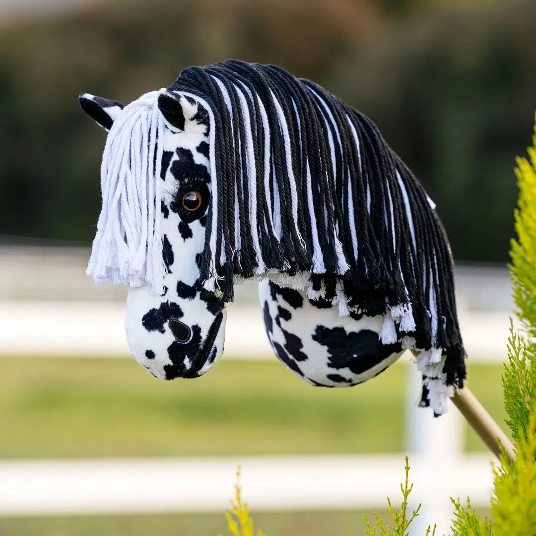 Lemieux Hobby Horse Dakota