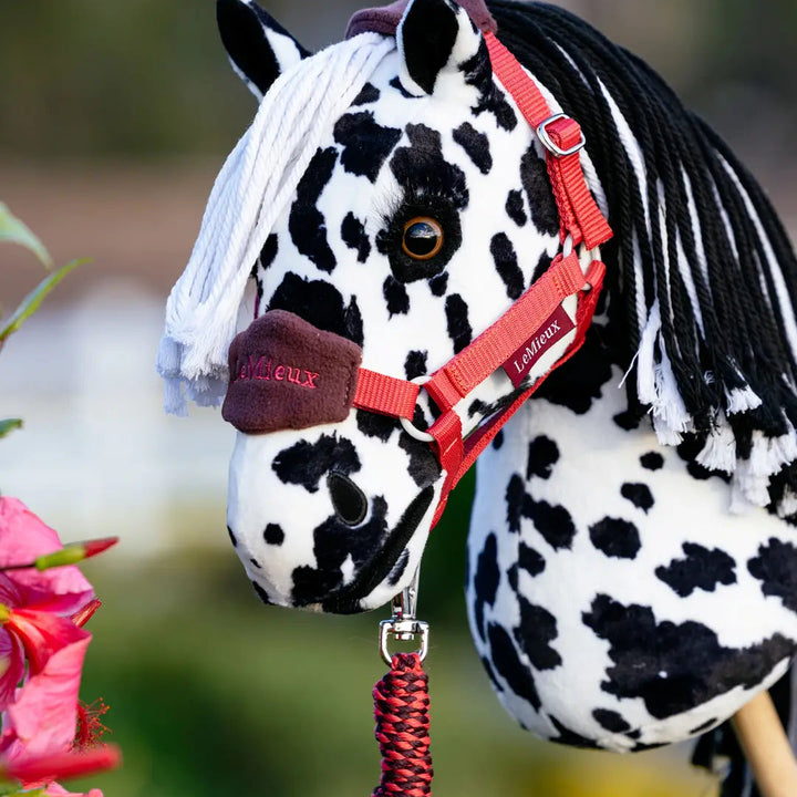 Hobby Horse Vogue Headcollar & Leadrope Cranberry