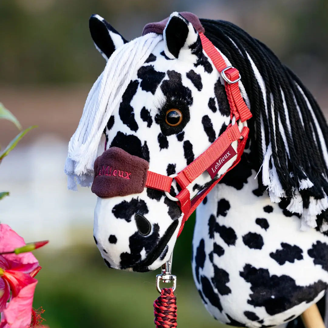Lemieux Hobby Horse Dakota