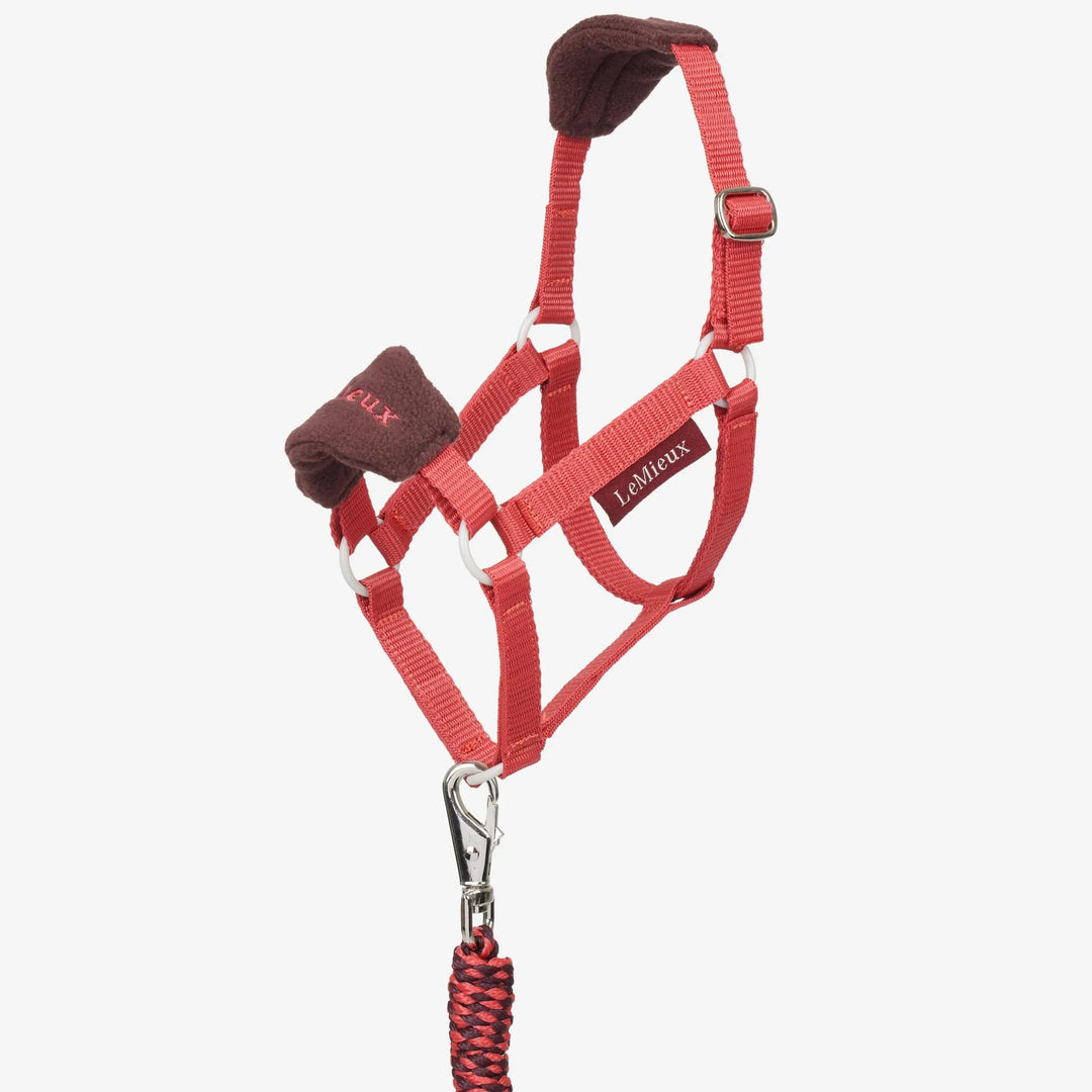 Hobby Horse Vogue Headcollar & Leadrope Cranberry