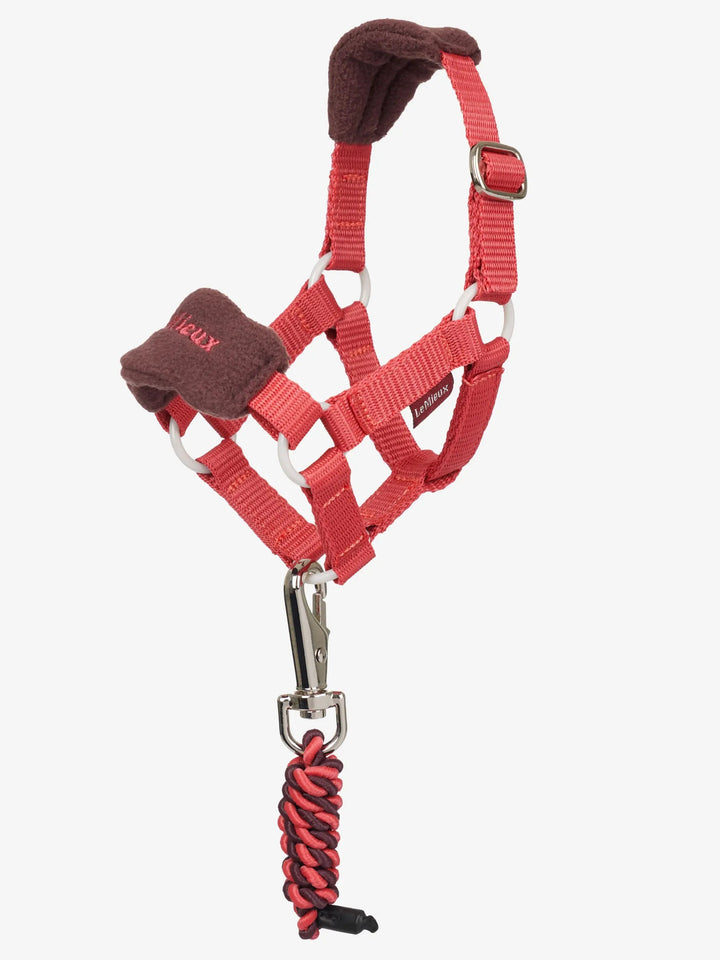 LeMieux Toy Pony Vogue Headcollar and Leadrope Cranberry