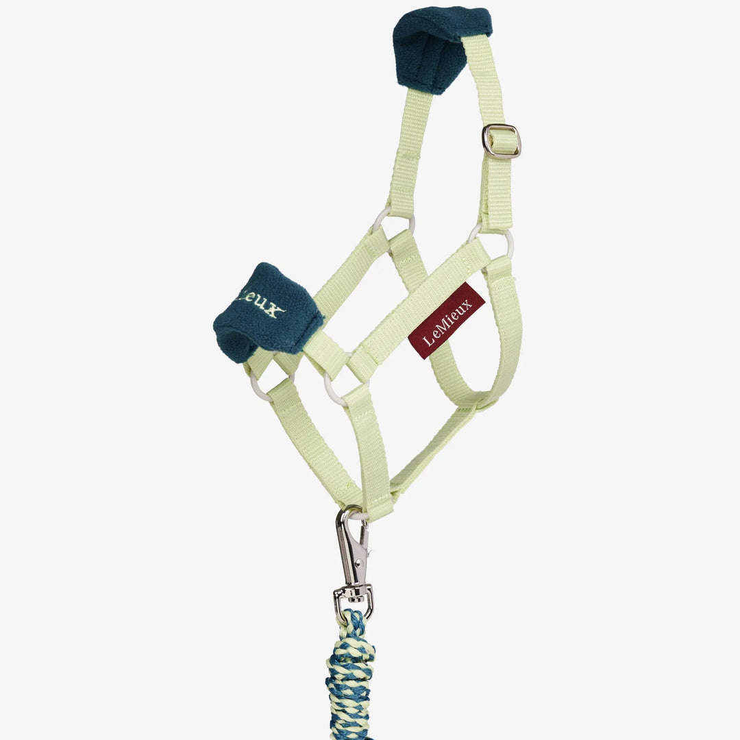 Hobby Horse Vogue Headcollar &amp; Leadrope Macaron