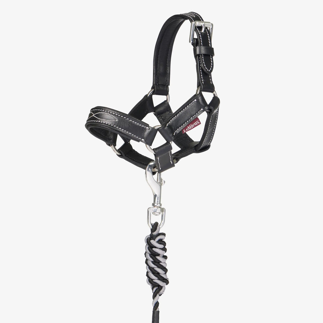 LeMieux Toy Pony Black Leather Headcollar and Leadrope